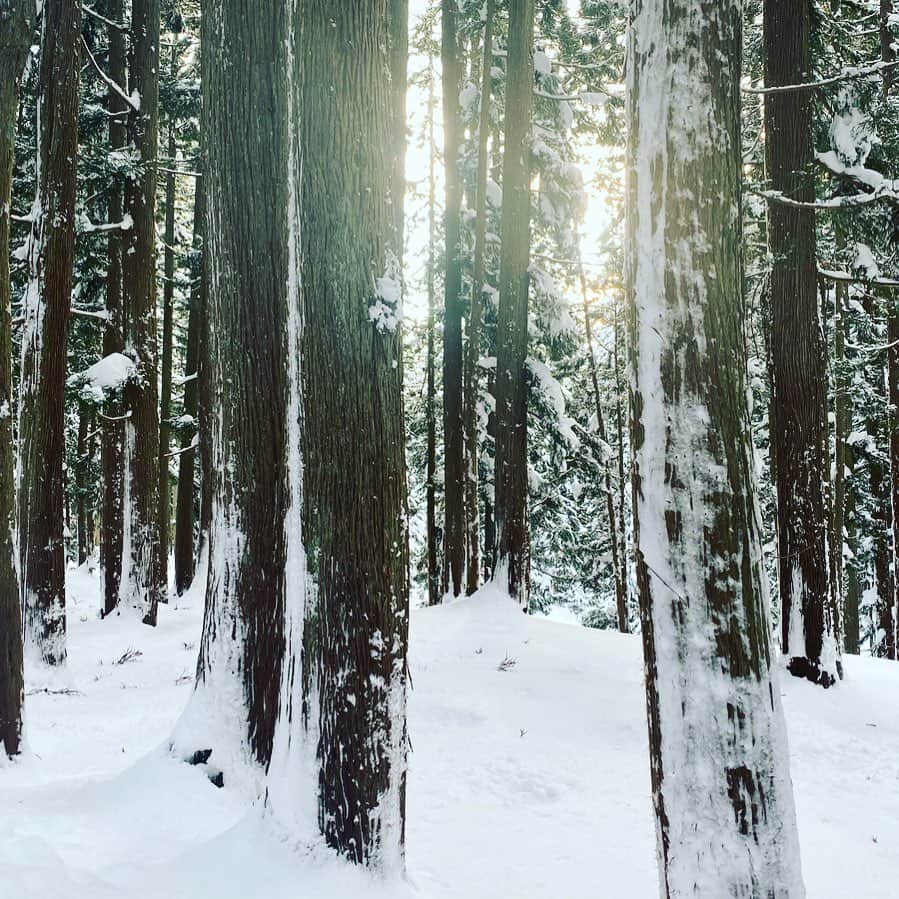 板谷由夏 さんのインスタグラム写真 - (板谷由夏 Instagram)「大晦日、大雪です。 スキー年越しです。筋肉痛が半端ないす。 賑やかな年末となりました。 2021年、今年もありがとうございました😊 感謝の気持ちをパワーにし 来年も元気に参ります。 みなさまも 穏やかなお正月をお迎えください！」12月31日 14時15分 - yukaitaya