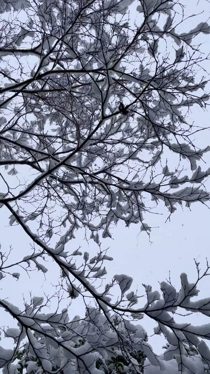 熊木杏里のインスタグラム：「2021年ありがとうございました。  良い年をお迎え下さい❄️☃️ 雪やこんこん」