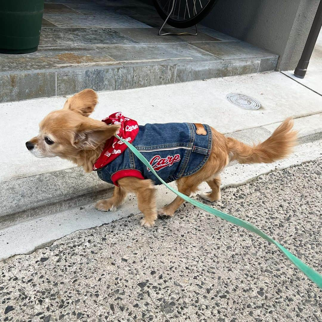 楪望のインスタグラム