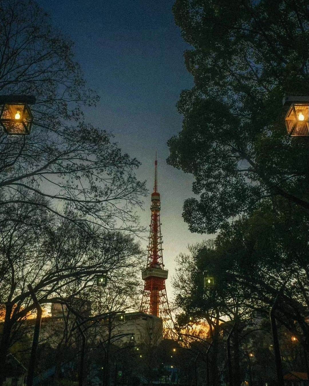 田中マヤさんのインスタグラム写真 - (田中マヤInstagram)「2021年の大晦日。 皆さまに感謝の気持ちを込めて✨  いつもインスタを見てくださり コメント＆いいね ありがとうございます🤍  新しい年を迎えられることに 感謝💫  大好きな東京タワーと 東京の夜景  この景色を眺めていると 大阪から上京してきた頃や 大都会で頑張ってるな〜 色々、経験して成長させてもらってるな〜って たくさんのご縁をありがとう〜😌 と思えるんです✨  今年もお世話になりました😆 来年もどうぞ宜しくお願いします✨  2022年が皆さまにとって 笑顔溢れる良い年になりますように  良いお年をお迎えください💫  #大晦日 #2021 #2022 #年越し #東京 #tokyo #도쿄 #도쿄타워 #夜景 #thankyou #고마워 #섣달그믐」12月31日 22時37分 - tanakamaya__official