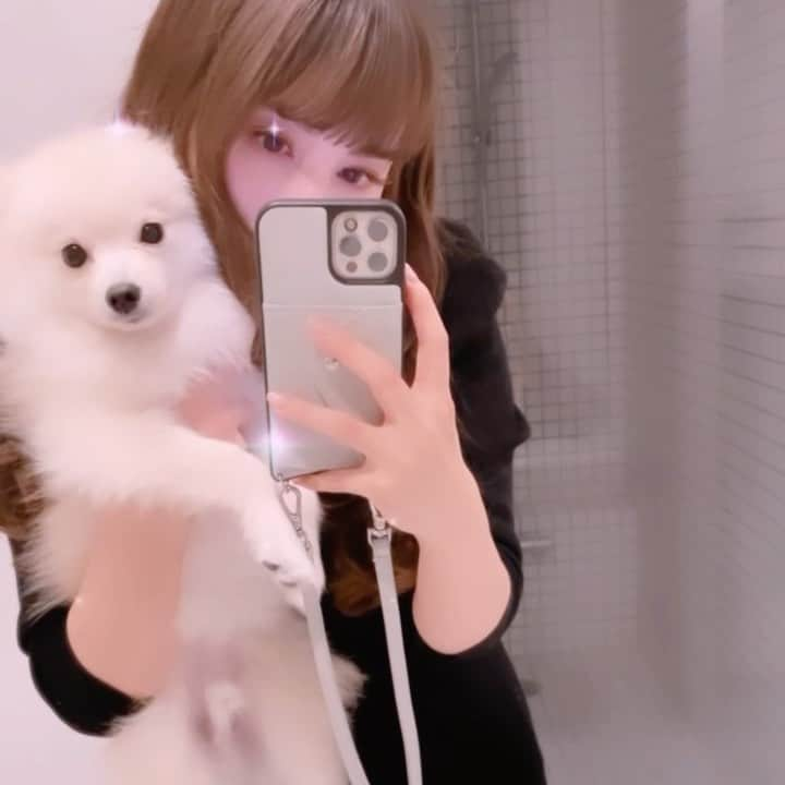 増田愛里菜のインスタグラム：「. 今年ラストの投稿は白ポメぼあくんと🐩🐩🐩 . @boochan_puppy  . . 2021年はこんなご時世だけど、新しい出会いがたくさんあった年🥺❤︎ . . . ずっとずっと会いたかった人とも会えて幸せな年になりました♡ . . . ご飯も一緒に食べに行ってくれた美食家さんたちありがとう😚🍣🍖🍝✨ . . 2022年もみんな仲良くしてね😘 . #2021年  #おわり  #2022年  #よろしく」