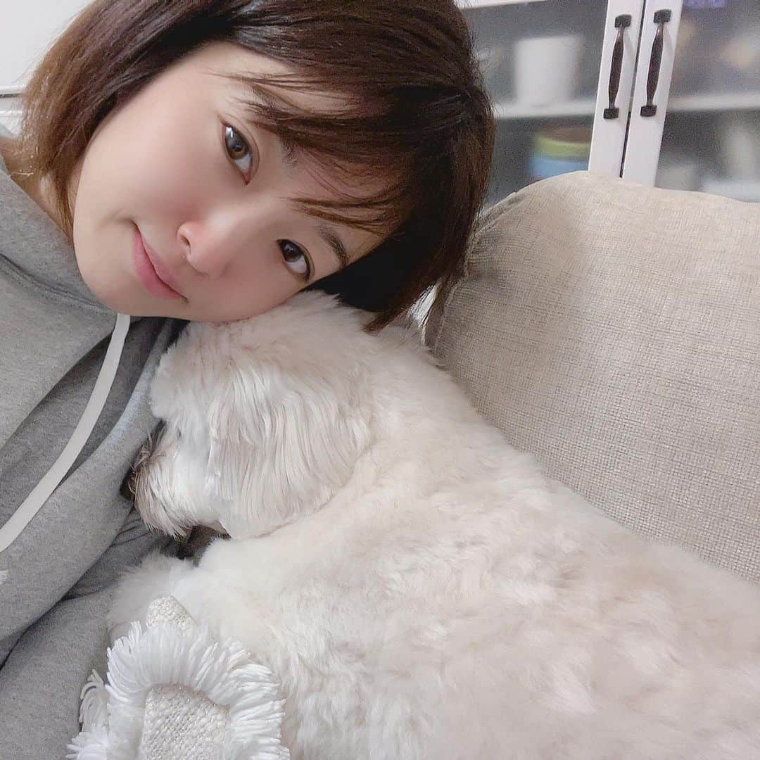 鮭山未菜美さんのインスタグラム写真 - (鮭山未菜美Instagram)「久しぶりに実家で愛犬まるちゃん🐶に会えて喜びの鮭山🐟ﾋﾞﾁﾋﾞﾁ 写真ばかみたいに撮っている。」12月31日 23時27分 - shakeyama373