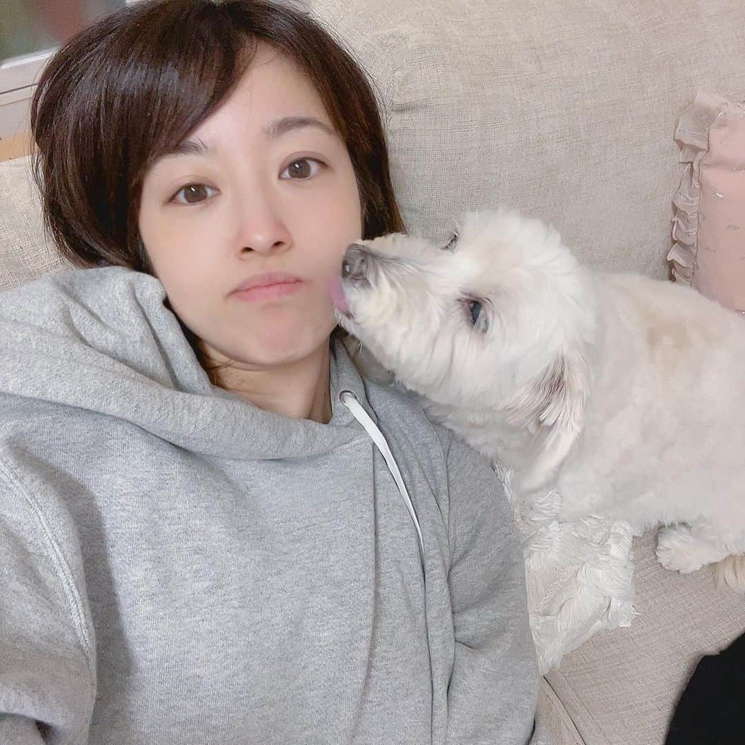 鮭山未菜美さんのインスタグラム写真 - (鮭山未菜美Instagram)「久しぶりに実家で愛犬まるちゃん🐶に会えて喜びの鮭山🐟ﾋﾞﾁﾋﾞﾁ 写真ばかみたいに撮っている。」12月31日 23時27分 - shakeyama373