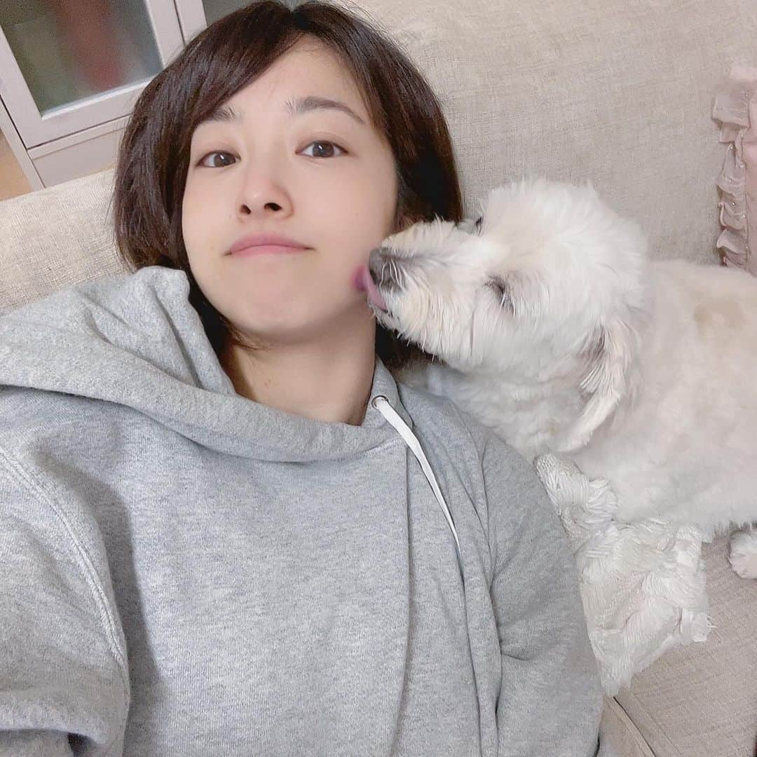 鮭山未菜美さんのインスタグラム写真 - (鮭山未菜美Instagram)「久しぶりに実家で愛犬まるちゃん🐶に会えて喜びの鮭山🐟ﾋﾞﾁﾋﾞﾁ 写真ばかみたいに撮っている。」12月31日 23時27分 - shakeyama373