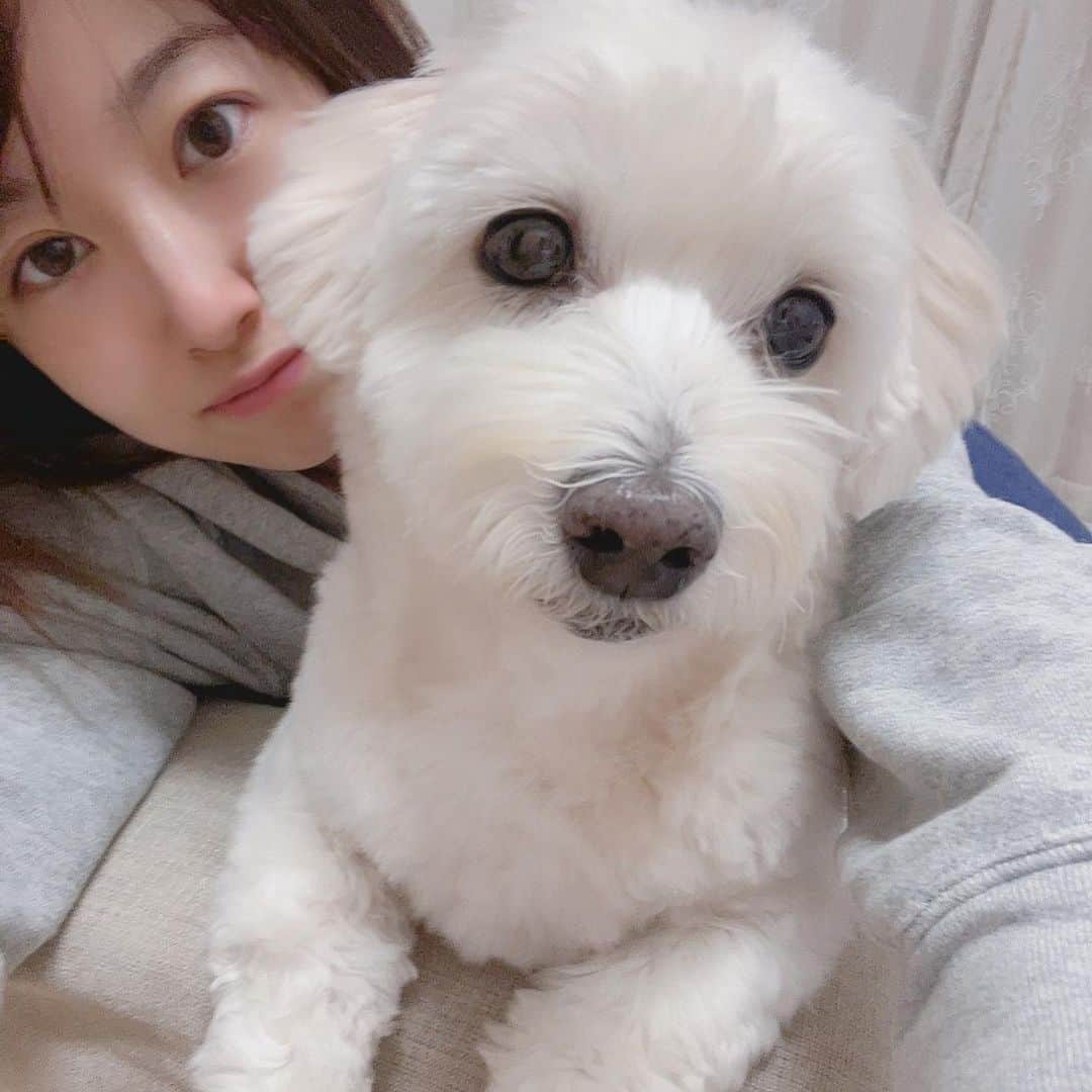 鮭山未菜美のインスタグラム：「久しぶりに実家で愛犬まるちゃん🐶に会えて喜びの鮭山🐟ﾋﾞﾁﾋﾞﾁ 写真ばかみたいに撮っている。」