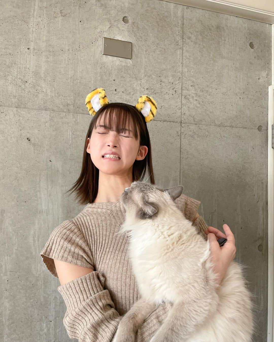 山崎あみさんのインスタグラム写真 - (山崎あみInstagram)「⠀ ⠀ 🐯明けましておめでとうございます。🐱 ⠀ いつも温かいメッセージ、ありがとうございます。 ⠀ そんな優しいみなさんに、 幸せと元気と笑顔をお届けできるよう 🐯のように突き進みます！ ⠀ 今年もリトルタイガー🐱と ちゅーしてくれた！と思った瞬間食べられた３枚目、、 永遠の片想い、、  そんなこんなで、日々色々とありますが、 共に強く生きていきましょうね。☺️ #2022 #寅年 #リトルタイガー #ラグドール」1月1日 0時03分 - __ami.yamazaki__