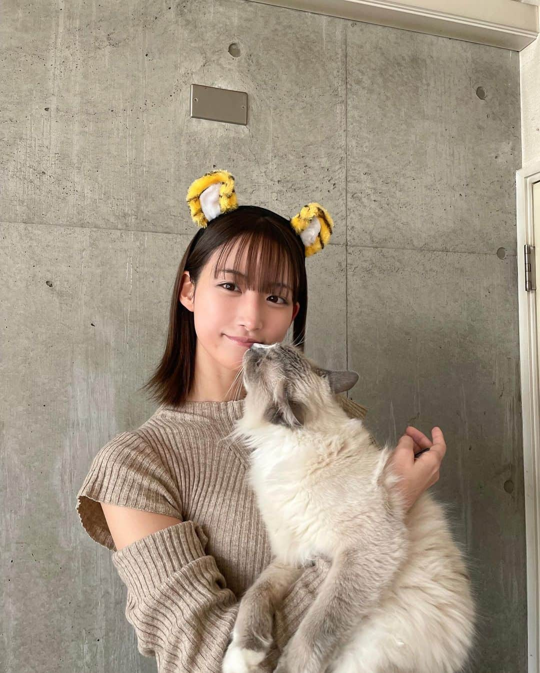 山崎あみさんのインスタグラム写真 - (山崎あみInstagram)「⠀ ⠀ 🐯明けましておめでとうございます。🐱 ⠀ いつも温かいメッセージ、ありがとうございます。 ⠀ そんな優しいみなさんに、 幸せと元気と笑顔をお届けできるよう 🐯のように突き進みます！ ⠀ 今年もリトルタイガー🐱と ちゅーしてくれた！と思った瞬間食べられた３枚目、、 永遠の片想い、、  そんなこんなで、日々色々とありますが、 共に強く生きていきましょうね。☺️ #2022 #寅年 #リトルタイガー #ラグドール」1月1日 0時03分 - __ami.yamazaki__