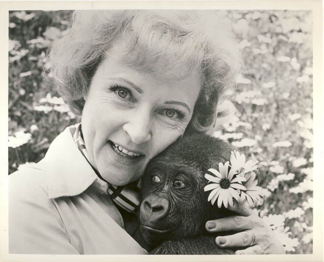 マット・プロコプのインスタグラム：「In the brief 15 minutes I had to chat with Betty White we spoke only about our shared love of animals. She was an advocate for wildlife her entire career and just an all around genuine loving human. We lost a phenomenal person today.#ripbettywhite」