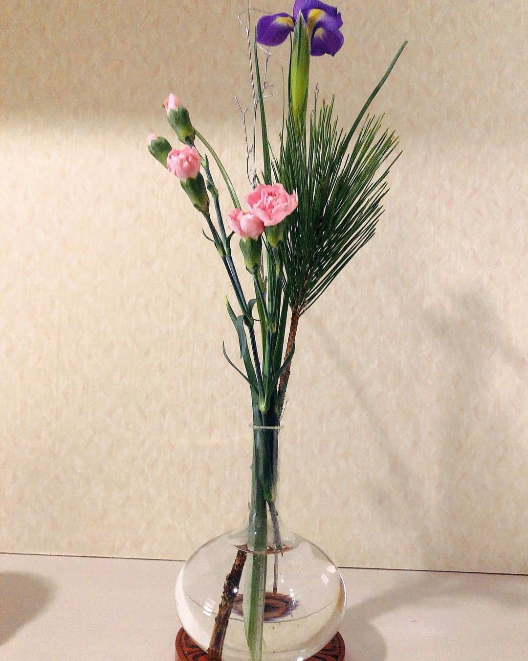 竹川美子のインスタグラム：「✨新春✨ 松・菖蒲・カーネーション #めでたい松 #菖蒲 #1月誕生花 #カーネーション #カーネーションの花言葉 #無垢で深い愛 #新春 #本年もよろしくお願いします  #季節の花 #癒し」