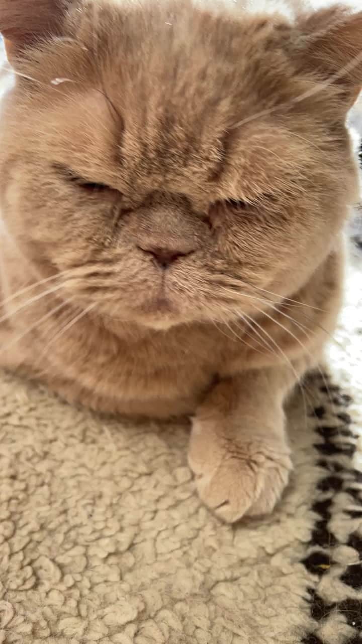 濱中鮎子のインスタグラム