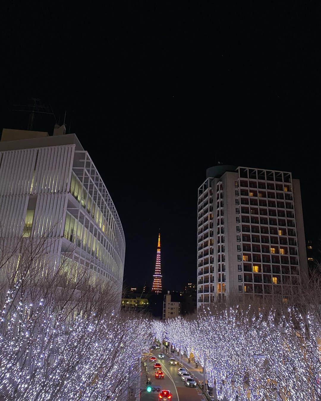 鈴木保奈美さんのインスタグラム写真 - (鈴木保奈美Instagram)「元日の東京タワー🗼 かっわいい。  #東京タワー」1月1日 21時28分 - honamisuzukiofficial