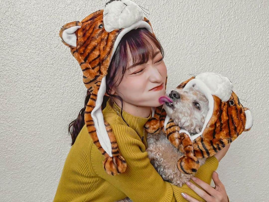 引地裕美さんのインスタグラム写真 - (引地裕美Instagram)「明けましておめでとうございます🐅🎍♡♡  2022年も笑顔いっぱいの1年になりますように🌟 本年もよろしくお願いします🥳  #寅年 #2022 #happynewyear  #引地裕美 #モデル #rq #レースクイーン #UMine  #얼스타그램 #照片 #粉我  #패션스타그램 #데일리코디 #패션 #时装」1月1日 16時57分 - yuumihikichi