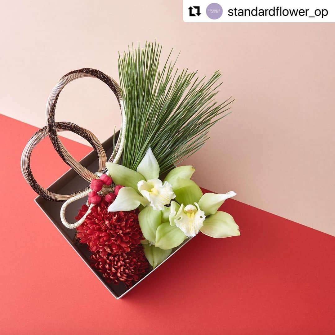 前田有紀さんのインスタグラム写真 - (前田有紀Instagram)「みなさん、あけましておめでとうございます！今年最初の投稿は『STANDARD FLOWER. by YUKI MAEDA』から。よい一年になりますように。今年もお花の魅力を綴っていくのを楽しみにしています！  #Repost @standardflower_op with @make_repost ・・・ 小田急ポイントカードのWebコラム『STANDARD FLOWER. by YUKI MAEDA』ではフラワーアーティストの前田有紀さん（ @yukimaeda0117 ）とHibiya-Kadan Styleさん（ @hibiyakadan_style ）が、「もっと気軽に暮らしに花を」をテーマに、季節を代表する花とその楽しみ方を毎月10日・25日にご紹介しています。  12月の特集「シンビジウム」はもうご覧になりましたか？  皆さま、今年も『STANDARD FLOWER. by YUKI MAEDA』をご覧いただきありがとうございました。 来年も、楽しんでいただけるように企画をしてまいりますので、どうぞよろしくお願いいたします。 それでは、良いお年を！  今月も皆さまの #standardflower_op をつけたお花写真の投稿キャンペーンを実施中！ 素敵なお写真を投稿していただいた方のうち、入賞された方には前田有紀さんやHibiya-Kadan Styleさん、OPカードから素敵なプレゼントをお贈りします。 公式Webコラム最新回・キャンペーンへの応募規約はプロフィールまたは以下のURLからどうぞ♪  最新回シンビジウム<後編>：https://www.odakyu-card.jp/news/information/feature/2021/12/25/56299/  シンビジウム＜前編＞：https://www.odakyu-card.jp/news/information/feature/2021/12/10/56298/  #standardflower_op #シンビジウム #シンビジューム #cymbidium #standardflower #stayhomewithflowers #おうち時間 #花でつなぐ小田急 #花 #花のある暮らし #花が好き #フラワーアレンジメント #花好きな人と繋がりたい #前田有紀 #guiflower #ヒビヤカダン #ヒビヤカダンスタイル #ルコネル #hibiyakadan #hibiyakadanstyle #reconnel #ハナノヒ #小田急線 #小田急ポイントカード #opカード #flower #flowers #flowerstagram #flowerlover」1月1日 17時20分 - yukimaeda0117