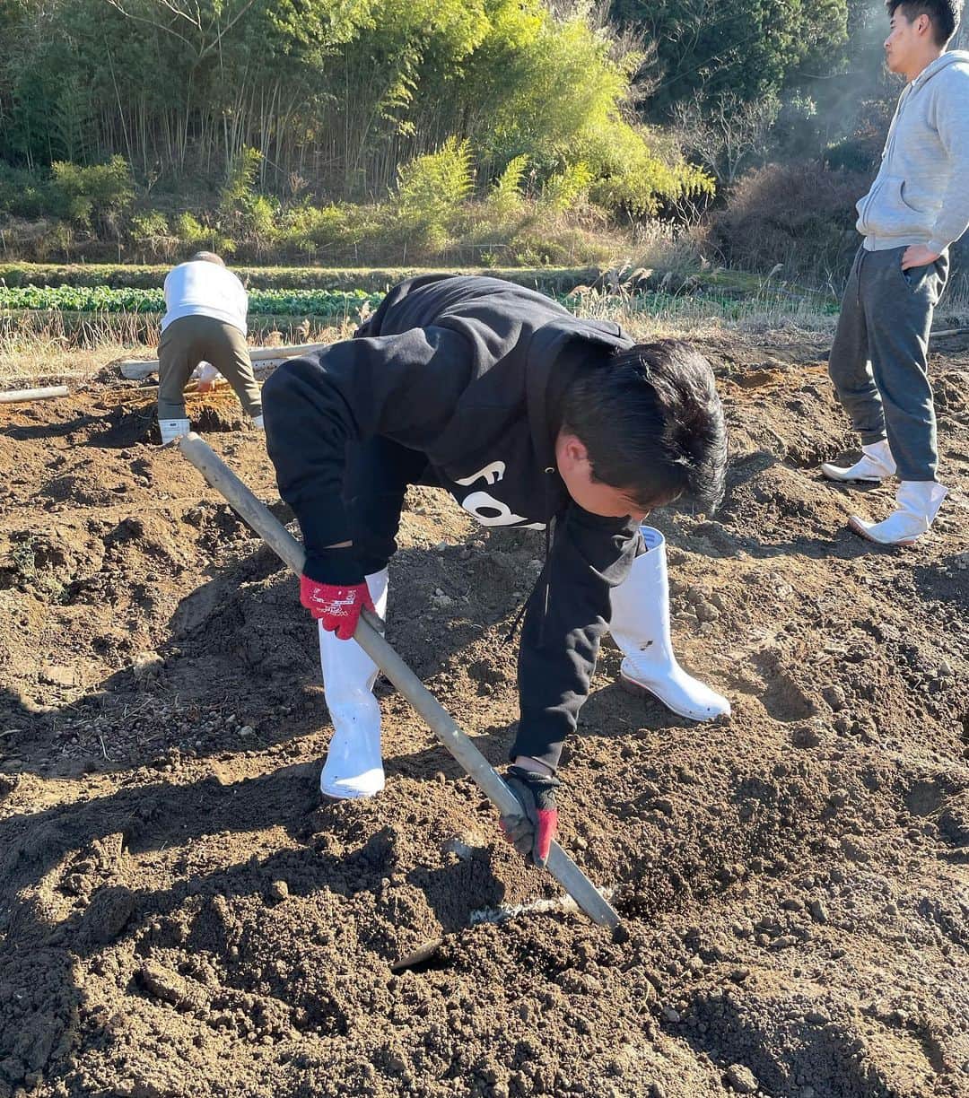 高島宗一郎さんのインスタグラム写真 - (高島宗一郎Instagram)「親戚の畑で自然薯を掘って、擦って、蕎麦にかける！最高の正月🎍 #高島宗一郎 #自然薯 #福岡市長 #畑 #とろろそば #高島市長」1月1日 18時14分 - takashima.fukuoka