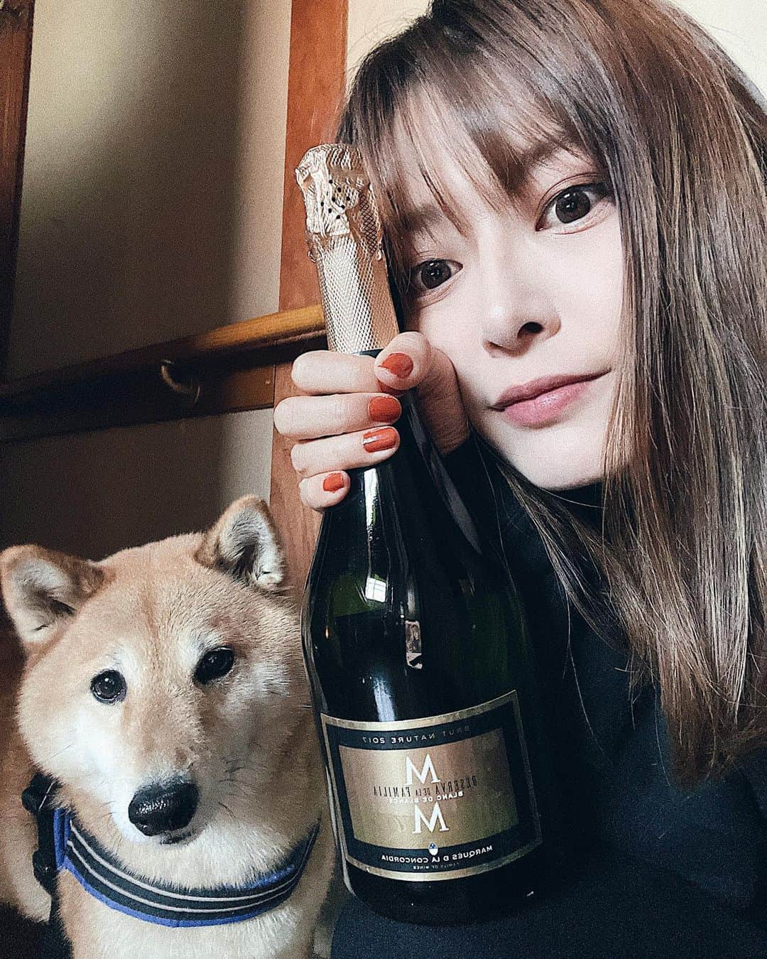 井上志帆子のインスタグラム：「今年も宜しくお願いします🐶」