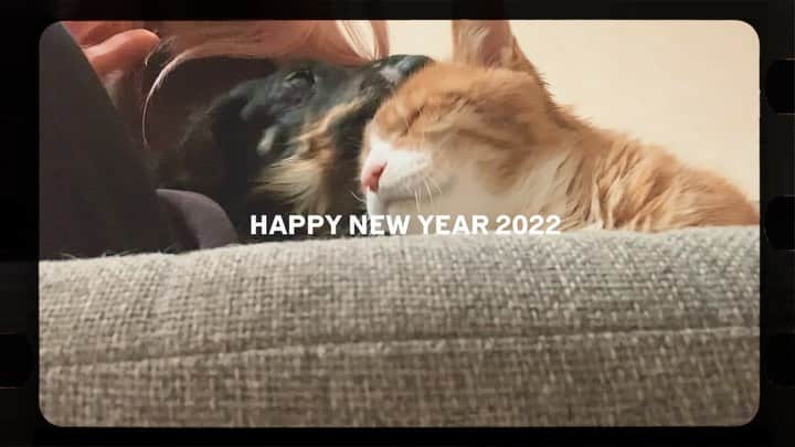 絹のインスタグラム：「HAPPY NEW YEAR 2022🐯🤍 今年もよろしくお願いします！  実家で母とくーちゃんおーちゃん4人で 今コンビニ対決のテレビ見てる〜！ みんなはゆったり過ごせてますか？  #2022」