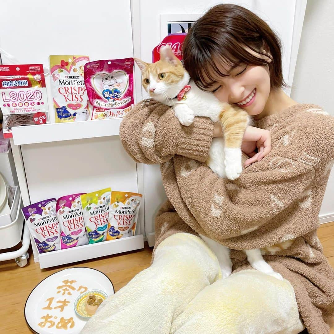 ききまるさんのインスタグラム写真 - (ききまるInstagram)「はぴば🐈💖 . . うちのプリティー茶々べいべーちゃんがなんと2022年1月1日で1ちゃいになりました👏🏻👏🏻👏🏻👏🏻👏🏻👏🏻👏🏻 . @chachagram_01  . チューするとガチギレされます！！ . . #チュールプレート #ねこすたぐらむ #猫　#猫のいる暮らし #猫1歳　#ちゃおちゅーる #ちゅーる #ちゅーるプレート #誕生日　#猫誕生日 #誕生日ケーキ #愛猫　#にゃんこ部 #にゃんこすたぐらむ #にゃんこのいる生活 #ねこすたぐらむ #ねこのいる生活 #ねこと暮らす #ねこ部 #ねこのいる暮らし #ねこら部 #ねこすきさんと繋がりたい #里親になろう #里親猫 #里親になって幸せです」1月1日 21時51分 - kikigram_97