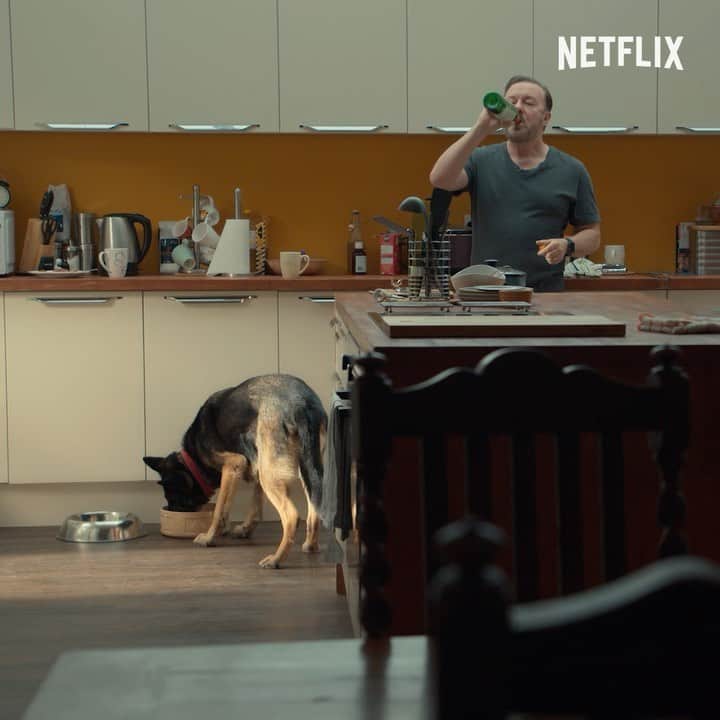 のインスタグラム：「Official #AfterLife3 Trailer」