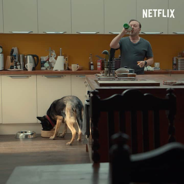 リッキー・ジャーヴェイスのインスタグラム：「Official #AfterLife3 Trailer」