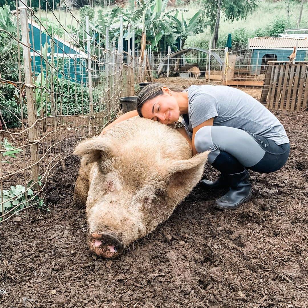 マヤ アリーナのインスタグラム：「Dear 2021,  To be honest, you were tough. You showed me pain I didn’t know I could feel, and shattered my heart in ways I didn’t know possible.   But you also showed me so much love, so much light. You surrounded me with the most amazing people. You showed me my strengths and my weaknesses. You filled my heart with pure joy and gave me memories I’ll forever be grateful for.   Here’s to a 2022 filled with more growth, appreciation, curiosity, exploration, laughter, deep love and animal cuddles.   Happy New Year ✨Hope your 2022 brings you everything you never knew you needed ❣️」
