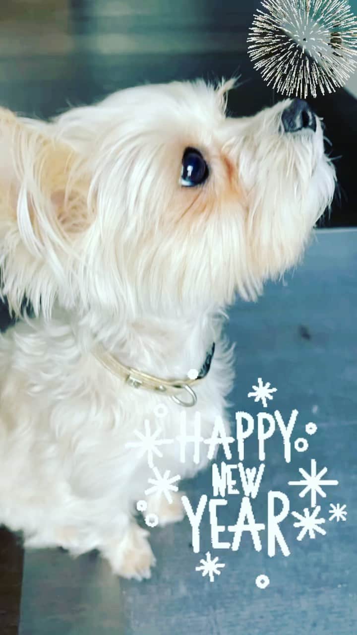 アディクションのインスタグラム：「✨Happy New Year 2022 ✨」