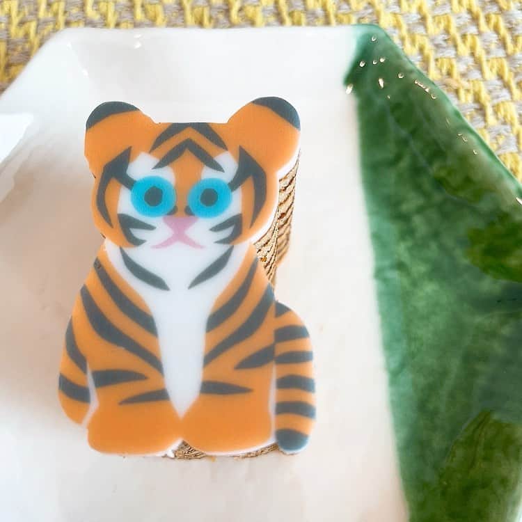 吉岡聖恵のインスタグラム