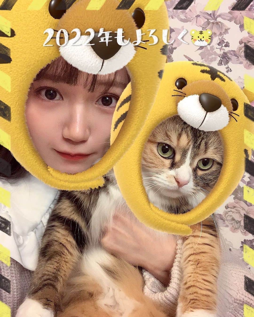尾崎由香のインスタグラム：「2022🐯🎍  新年感溢れる2人を 今年もよろしくお願いします😌🐱  #新年　#2022 #虎　#猫　#アメリカンカール　#ぴゅあぴあ #猫のいる暮らし #猫好きさんと繋がりたい」