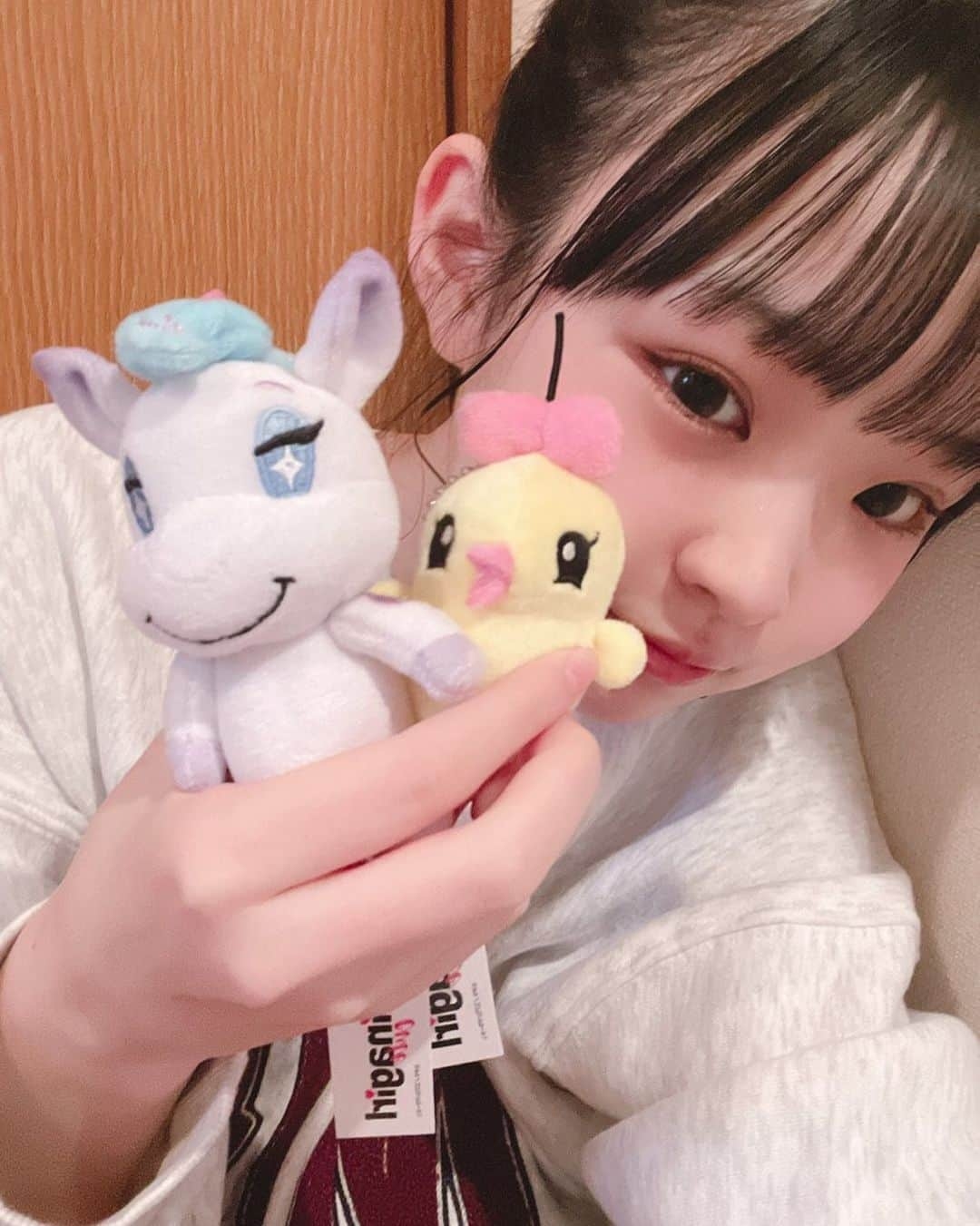 Hinataさんのインスタグラム写真 - (HinataInstagram)「. . Hinagirlのマスコットキャラクター ひなこーんとひなぴよ🦄🐥 . 全国のイトーヨーカドーさんの一部店舗のおもちゃ売り場にある クレーンゲームで登場してるよ🤍 . みんなお買い物のついでに探してみてね✨ . . #みにっちゃ #イトーヨーカドー #クレーンゲーム #おもちゃ売り場 #タイトー #Hinagirl #Hinagirlcute #ひなガール #ひなガールキュート #ひなこーん #ひなぴよ #頑張ってGETしてみてね🦄🐥」1月2日 11時48分 - hinachosugram