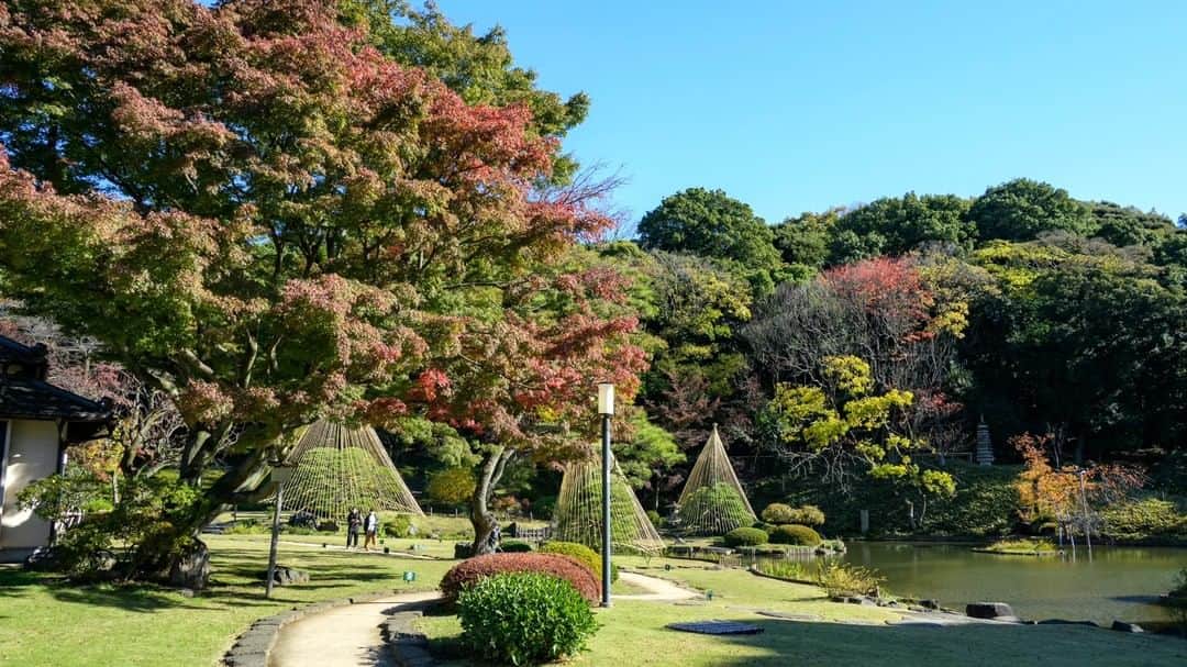 東京都庁広報課のインスタグラム