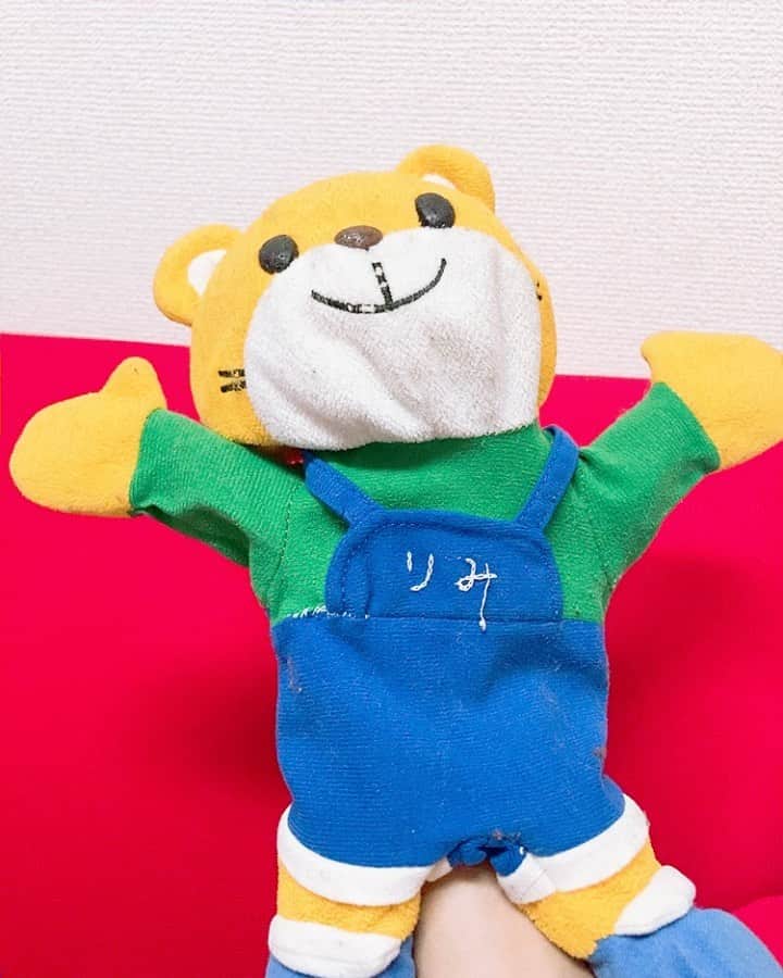 西本りみのインスタグラム：「あけおめインスタ。 年越しの瞬間はこいつと延々遊んでました。なんか無心になって撮り続けてた。ふと我に帰ったとき何やってるんだろうと思いました明けましておめでとうございました。  #なんか年末年始に更新しがちニシモトンファーインスタグラマー #ここで問題です #今年のインスタ更新回数は何回でしょうか #当たった人はトラになれる権利あげる #にしもトラりみ」