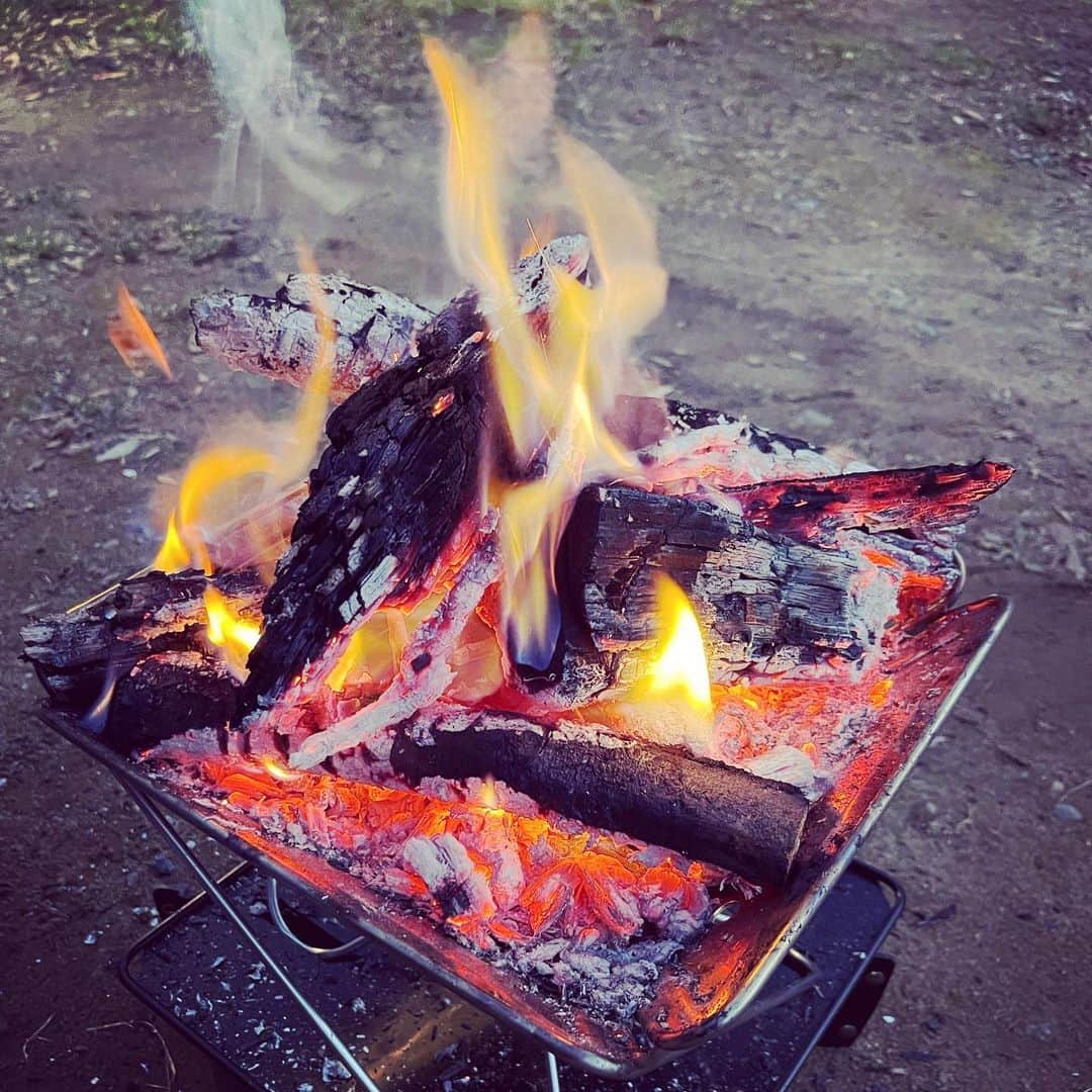 江口拓也さんのインスタグラム写真 - (江口拓也Instagram)「庭で延々と焚き火してる、、、  #焚き火　#キャンプ」1月2日 16時50分 - takuyaeguchi81