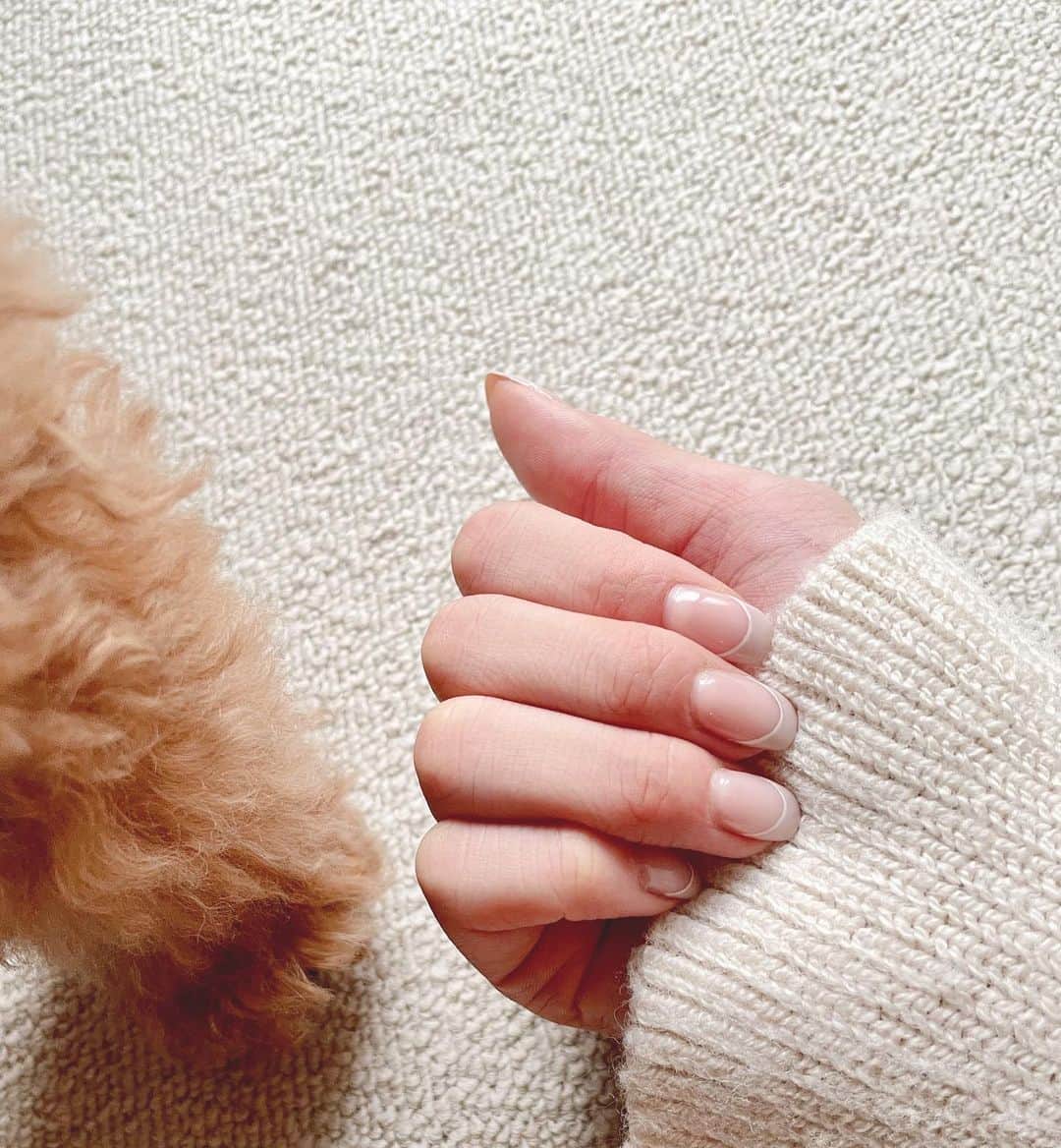 横山キラさんのインスタグラム写真 - (横山キラInstagram)「newnails💕  あけましておめでとうございます！今年もよろしくお願いします☺️   #newnails #ネイル #ジェルネイル #フレンチネイル  #ベージュフレンチ  #ベージュネイル  #ネイル好きな人と繋がりたい  #💅🏻」1月2日 17時31分 - kira_yokoyama_