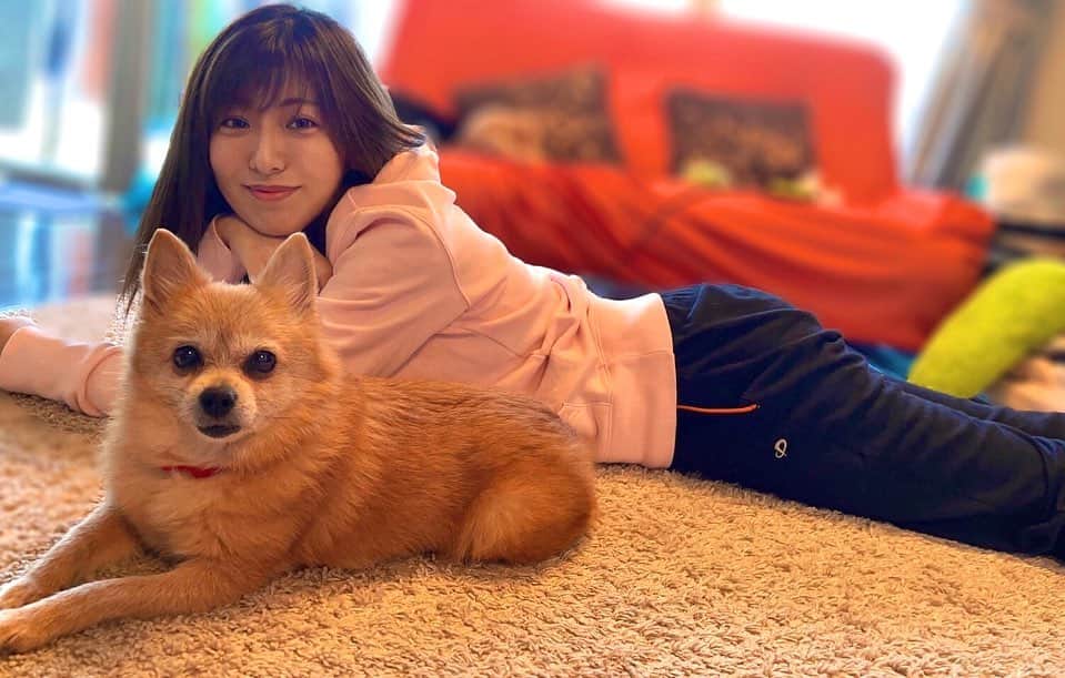 のインスタグラム：「🐕 . #もちゃん 年末年始は親戚で集まって ゆっくり出来ました🍵 . いつも応援、コメントありがとうございます！ 今年も中々返信は出来ませんが 引き続き応援宜しくお願いします🥺✨ . #いぬすたぐらむ #いぬのいる暮らし  #いぬのいる生活 #ミックス犬 #ポメラニアン #コーギー #ポメコギ #犬と休日」