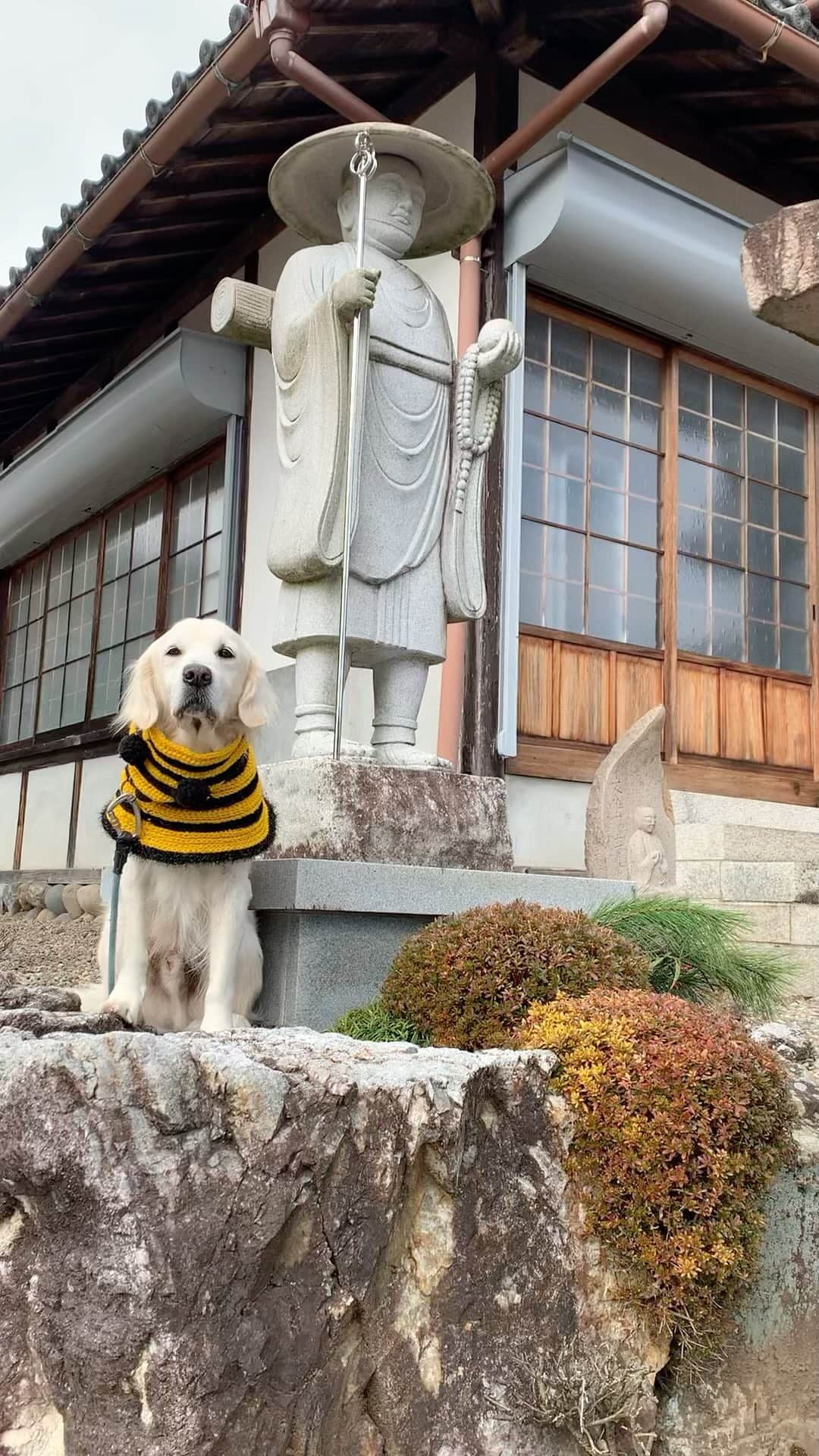 P太郎ママのインスタグラム