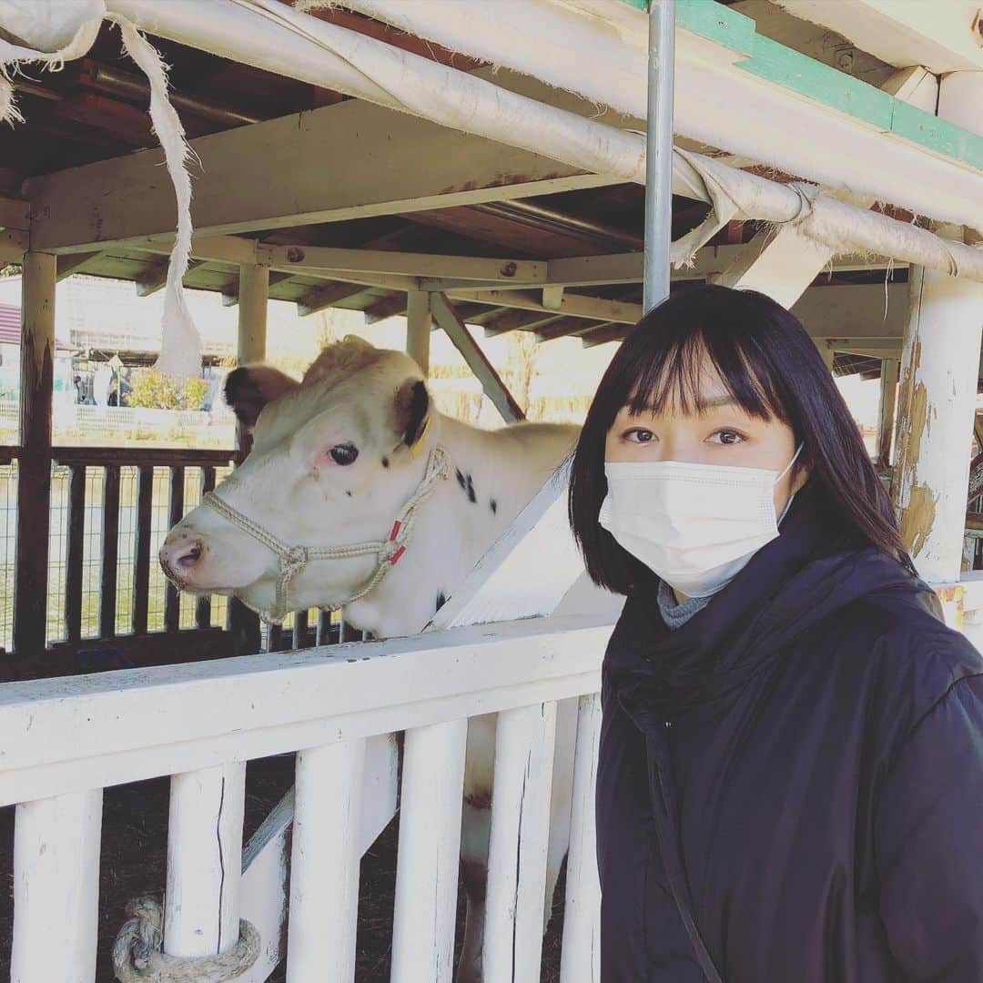 宮川美保のグルメインスタ