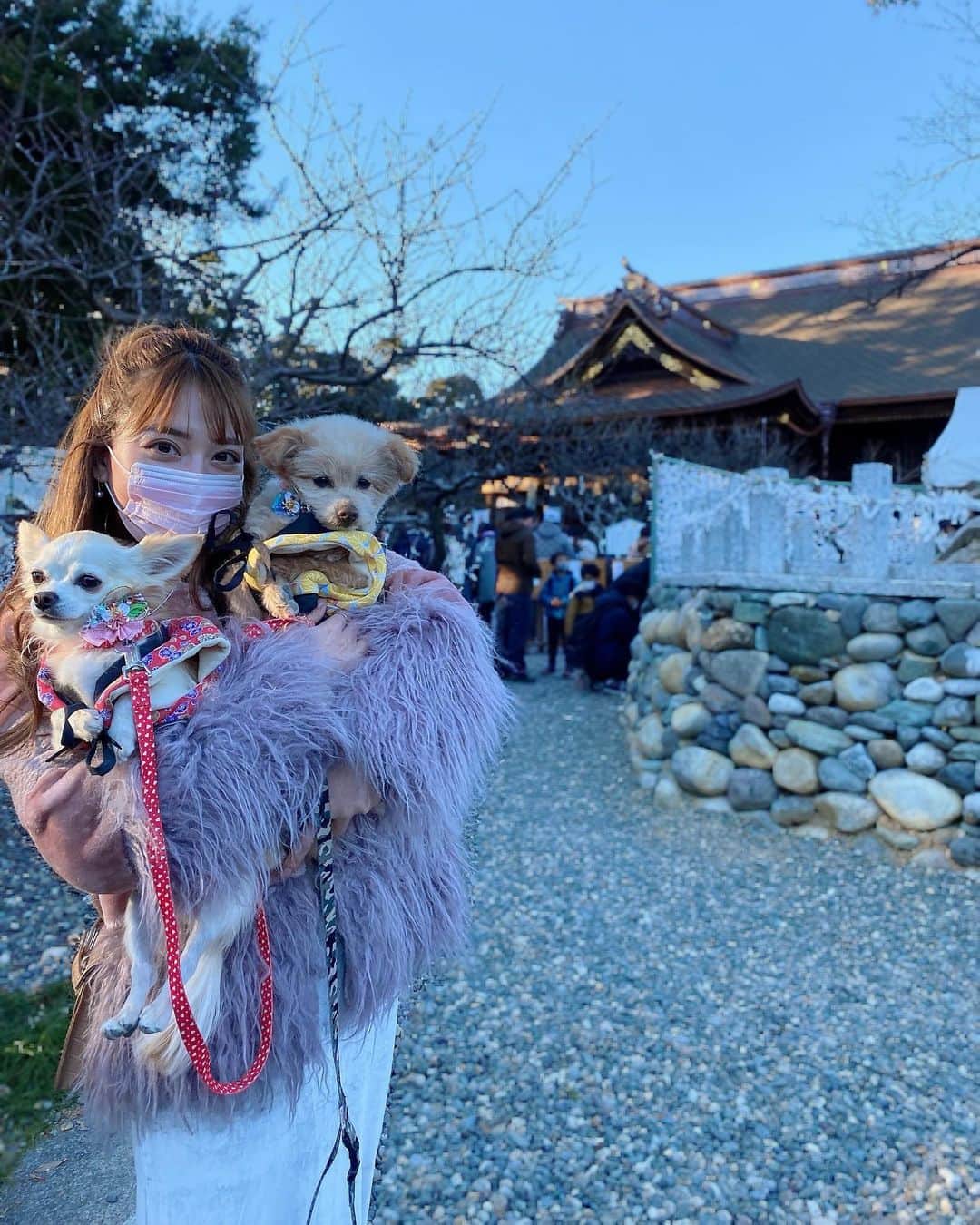 堀尾実咲のインスタグラム：「家族で初詣行ってきました⛩  見付天神 矢奈比賣神社に行ってきたよー！  悉平太郎の伝説で知られる神社🐕  わんちゃんも一緒にお参りできます🐾  2022年も健康第一で 楽しく毎日を過ごしましょう 👨🧑👩🐻🐰  みんなも初詣行ったの？☺️  #見付天神矢奈比賣神社 #見付天神 #悉平太郎 #初詣 #犬と初詣 #犬のいる生活」