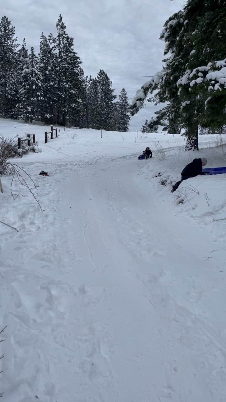 ケリー・オズボーンのインスタグラム：「Me and Minnie go sledding and Andy takes an epic tumble! ❄️」