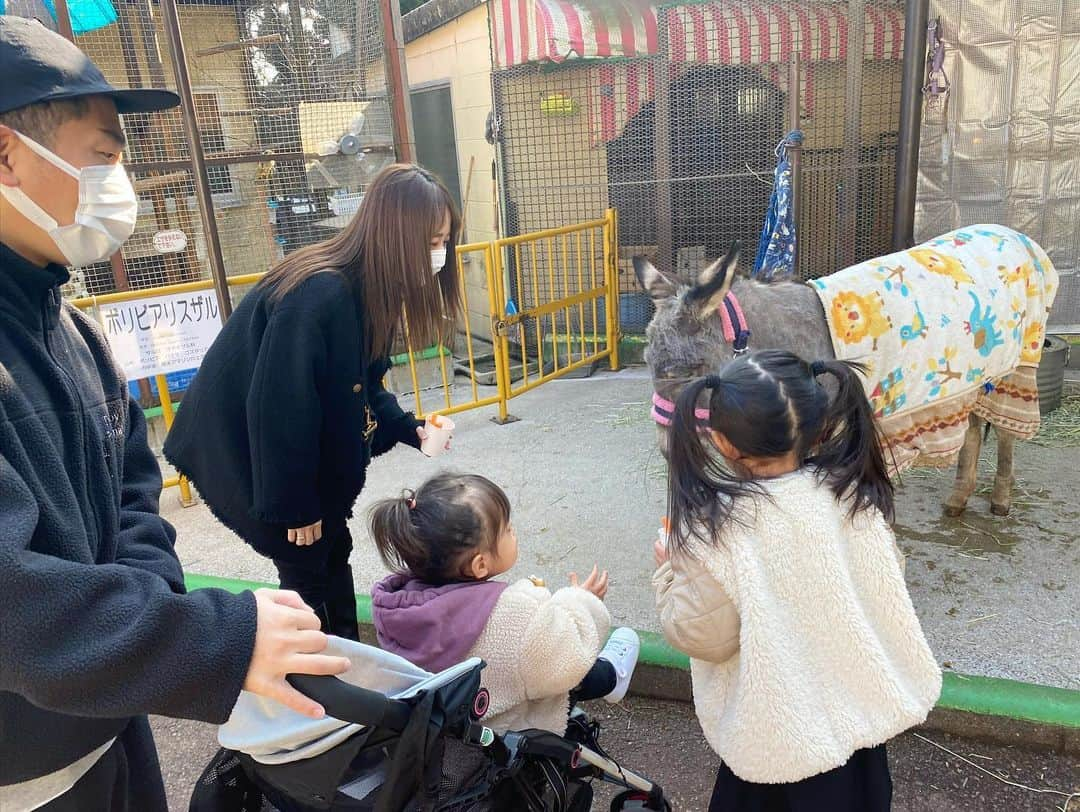 近藤千尋さんのインスタグラム写真 - (近藤千尋Instagram)「お正月らしいお正月を過ごしております🎍✨笑 凧揚げしたりお餅食べたり まったり寝正月したり。。😪💤🌅  子供達の体力は寝る寸前まで すごいですが、、、笑😂❤️  仕事始めまでもう少し、ゆっくりします💕🙏」1月3日 19時12分 - chipichan.1215