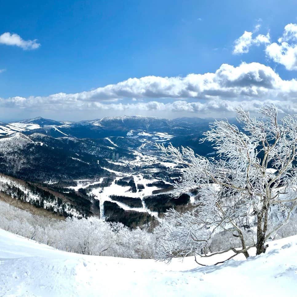麻美さんのインスタグラム写真 - (麻美Instagram)「skiと言えば北海道に 行きたくなる ． トマムは粉雪で滑りやすいし💓 お部屋からの景色も好き ． @hoshinoresorts.tomamu  いつも神対応✨✨ ありがとうございます😊 ． #星野リゾート #星野リゾートトマム」1月3日 19時33分 - mami0s