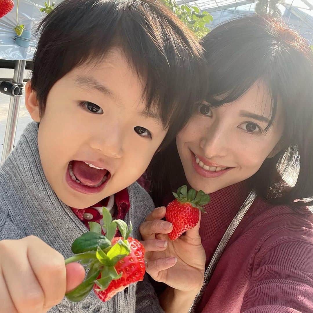 のインスタグラム：「新年最初のお楽しみ！  いちご狩り❤️  ビッグサイズなゆめのか 沢山食べてきました😊  新年早々可愛いイチゴに癒され 幸せでした✨  #いちご狩り#いちご #イチゴ」