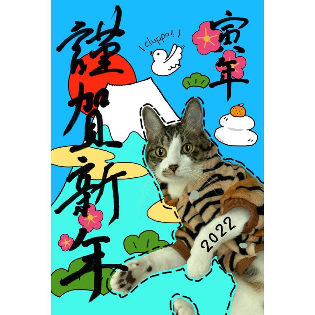 小鳩ミクのインスタグラム：「🎍🗻🕊 Happy New Year po!! 明けましておめでとう 御座いますっぽ🐯 今年はトラ年とらの年っぽ🕊  2022年も、くるっぽー！！と叫び 世界平和と世界征服の為 パタパタしながら 進んでいきたいと思いますので どうぞ宜しくお願いしますっぽ！！  #2022 #bandmaid #寅年 #bandmaid」