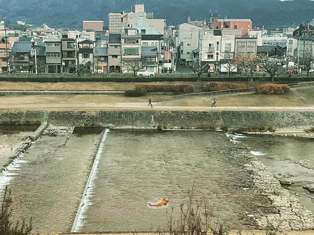 くっきー（川島邦裕）のインスタグラム