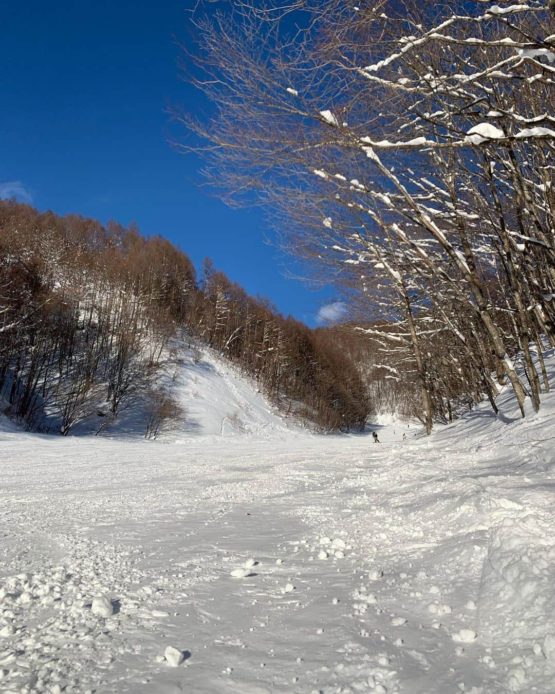 のインスタグラム：「今回で5回目🏂 気持ちよかった〜!!!もっと上達したい。🥺  #ちなみに初めての時は号泣した #ホワイトワールド尾瀬岩鞍 #あっあけましておめでとうございます」