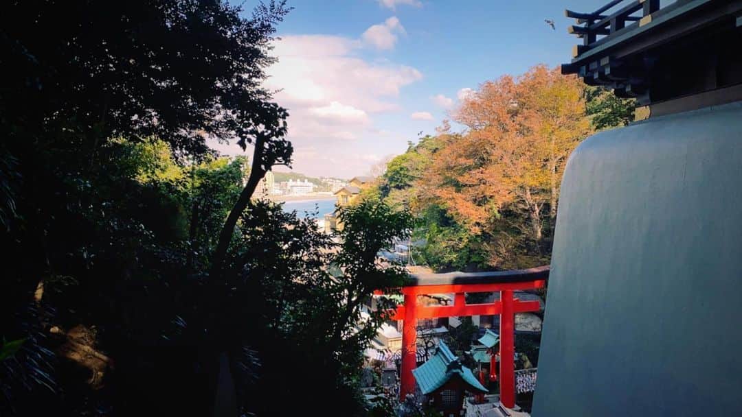 星名あゆみさんのインスタグラム写真 - (星名あゆみInstagram)「いい感じに撮れた(=^・^=)☀️ フィルムたのしい📷  It's a beautiful view of Japan.」1月3日 22時16分 - hoshina_ayumi
