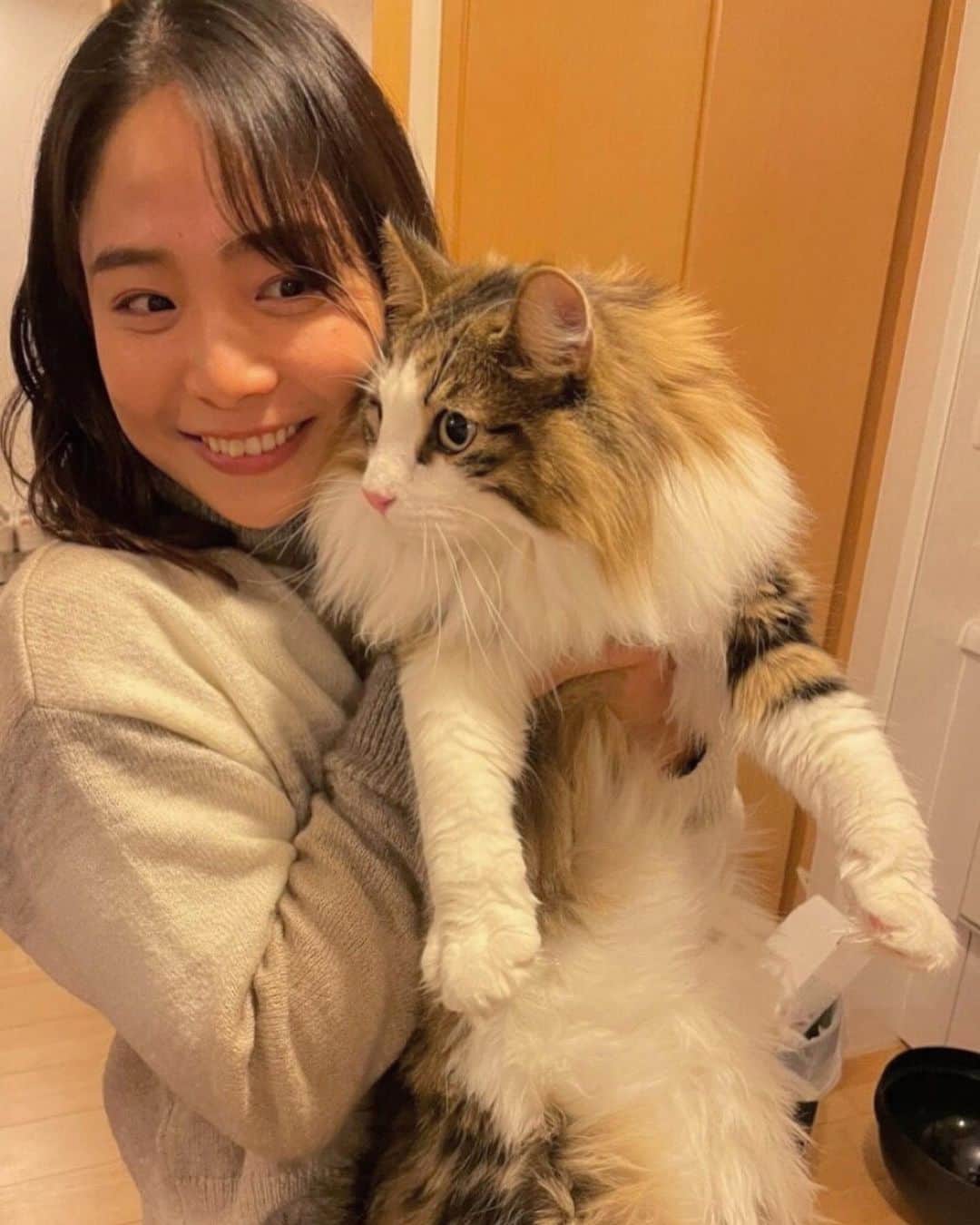 藤巻紗月のインスタグラム：「🐈‍⬛ ネコズと戯れる年末年始もおしまい。 働くかぁ！ #ねこ#猫#cats #モネダル #ノルウェイジャンフォレストキャット  #ラグドール #ねこのいる生活」