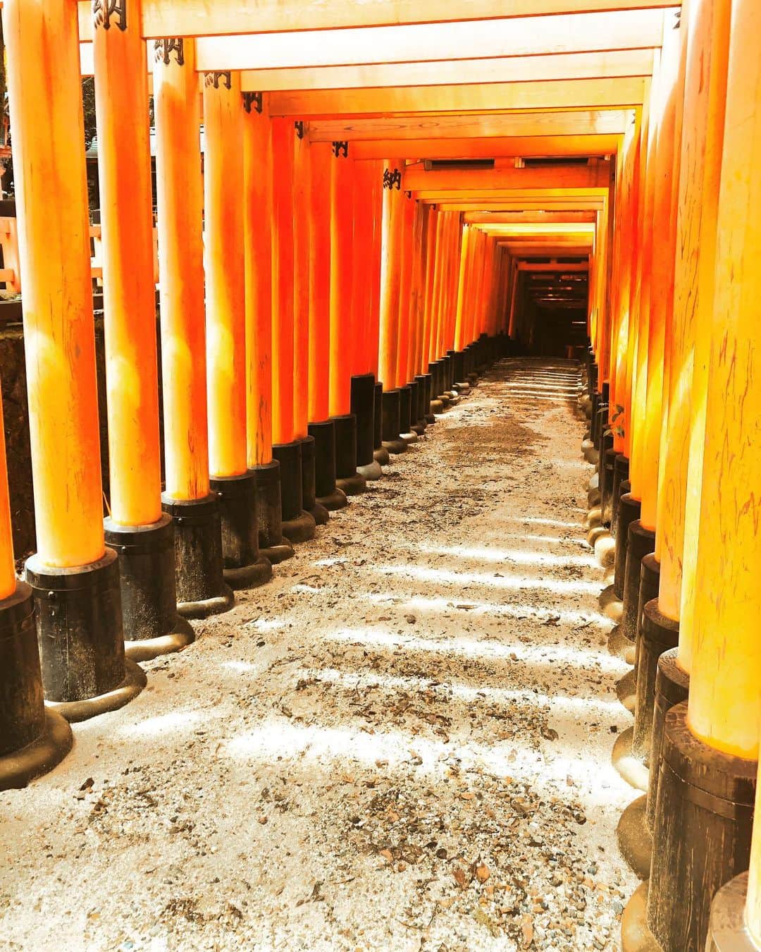 浪川大輔のインスタグラム：「お正月はいつまでなの？  もう仕事してるひとも沢山だろうし ずっと仕事だよ！ってひともきっといる  なので、せめて縁起もの  わたくしも仕事の準備がはじまった あれやってこれやって そしてすぐダラダラして  ヤバイ モードスイッチが入らん  #お餅は正月しか食べなくなったのはいつからだろう #でもめちゃめちゃ好きなのよ #今年は初詣行けるのだろうか #とりあえずゲームするか」