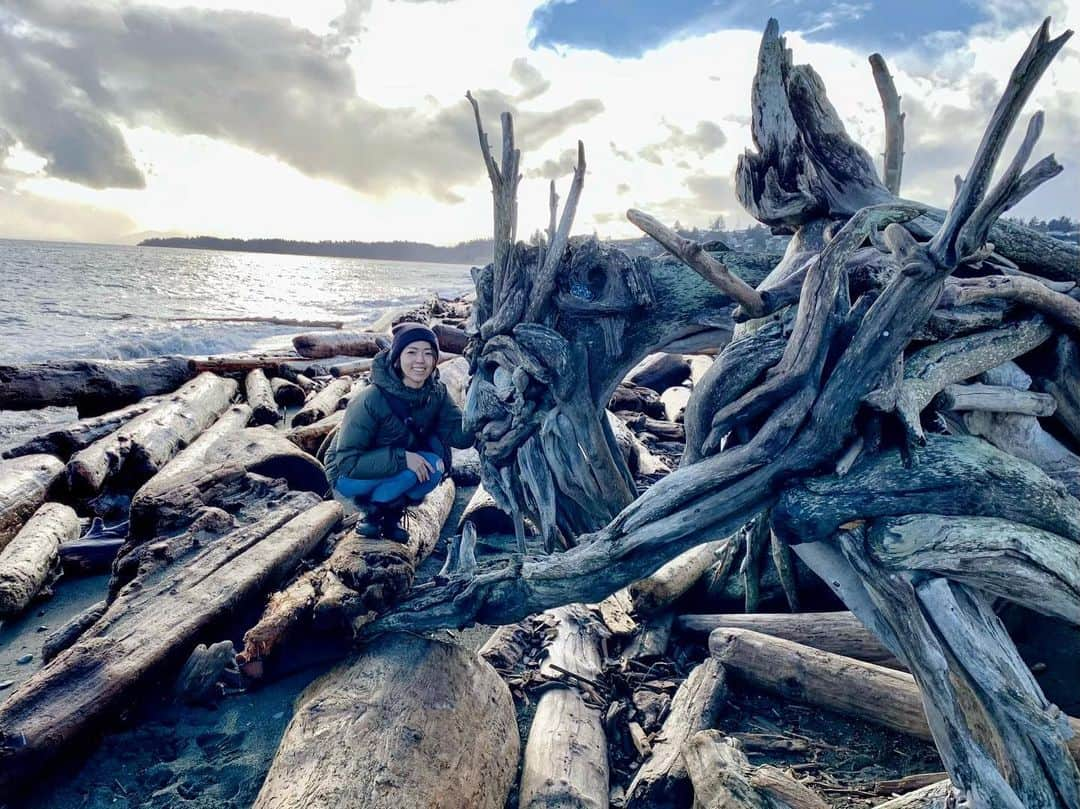 横井玲のインスタグラム：「One of the last adventures of this lovely island🦅🦉🦆🦝🦫🦢  海を跨ぐようにして架かる一本道に佇む、流木で作られた様々な生き物たち。 この町で大好きな場所の一つでした。  #esquimaltlagoon #art #birdsanctuary #statute #birds #monster #beach #canada #victoria #fav  #adventure #explore #birdslovers #animallovers  #お気に入りの場所 #流木アート #本物が混じってます #偽物も混じってます」