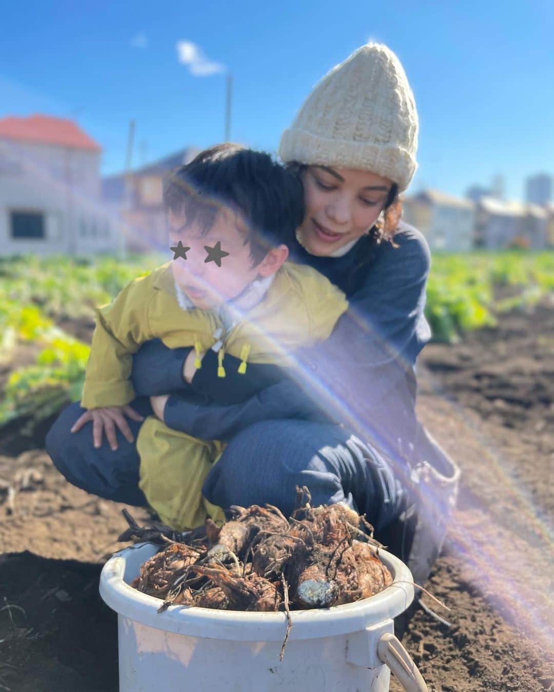 仲川希良のインスタグラム：「ずっと土の中に残しておいた八頭と里芋を掘りに年の瀬の畑へ ・ おせちを作るのは以前から好きだったけど 自分達で育てた素材を使ったのははじめてです ・ なますも畑の紫大根で作ったら とっても華やかに仕上がりました ・ ・ 息子にはお正月なんて事情はまだ分からないので 通常運転のギャングぶりだし 夫が休みのうちに済ませなきゃいけない家事もゴタゴタ ・ 合間合間で作り進めたら筑前煮は煮崩れて 黒豆にはシワがよってしまいました ・ お料理にはほんと 心がうつりますねぇ ・ ・ それでも 市販の伊達巻と蒲鉾以外は 息子が食べられるように薄味に薄味に ・ なんと写真を撮る間もなく 机にお重を出して取り皿を取りに戻っている間に 筑前煮の花型人参と黒豆をコッソリパクパクつまみ食いしてくれていました ・ 見た目はなんとも、な今年のおせちだったけど まあ 楽しく食べてくれたなら良し、ですね ・ ・ #🎍 #おせち #八頭 #里芋 #畑仕事」