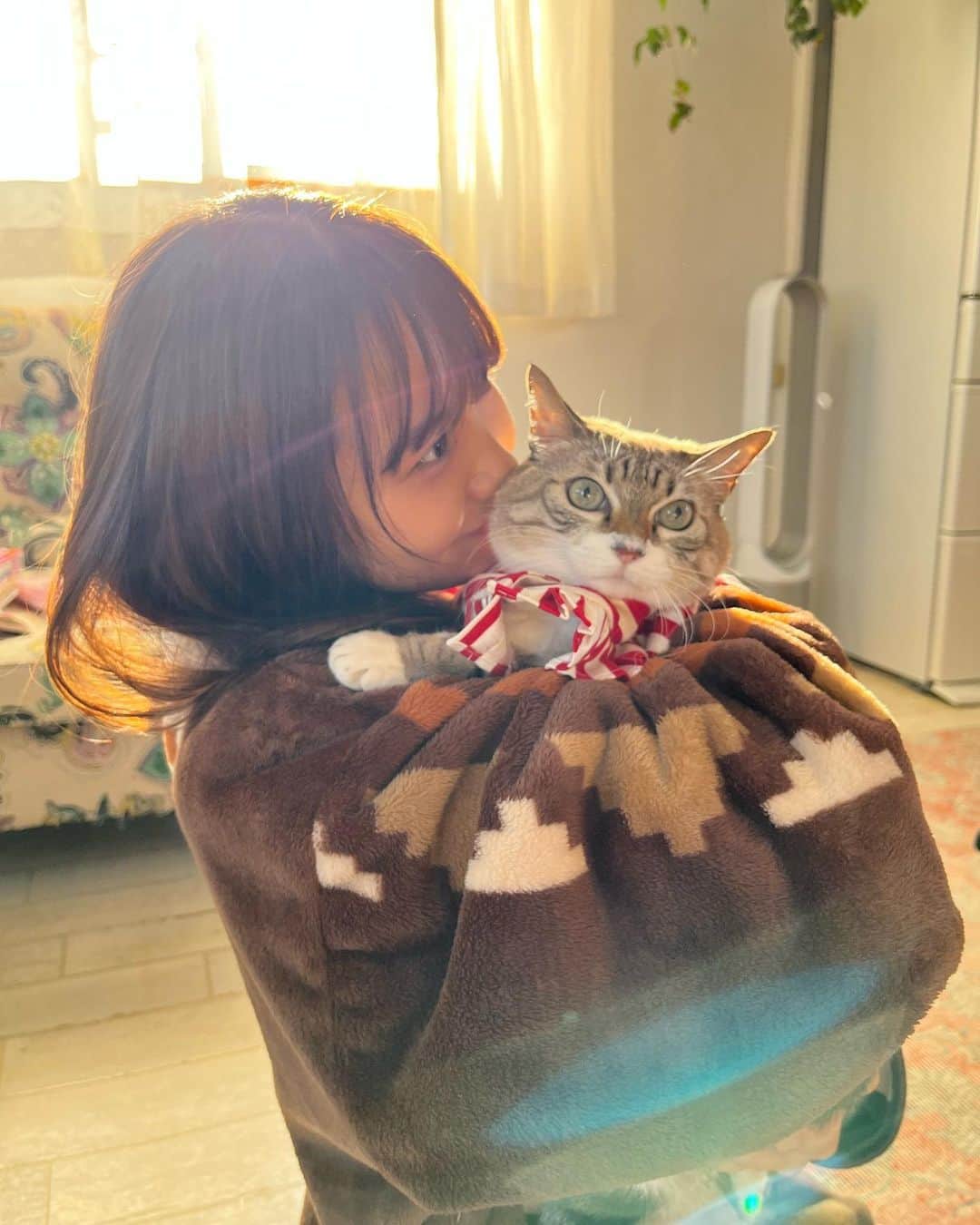 本郷柚巴さんのインスタグラム写真 - (本郷柚巴Instagram)「誰よりも猫大好き！！！🐱  #猫」1月4日 18時11分 - h.yuzuha_0112