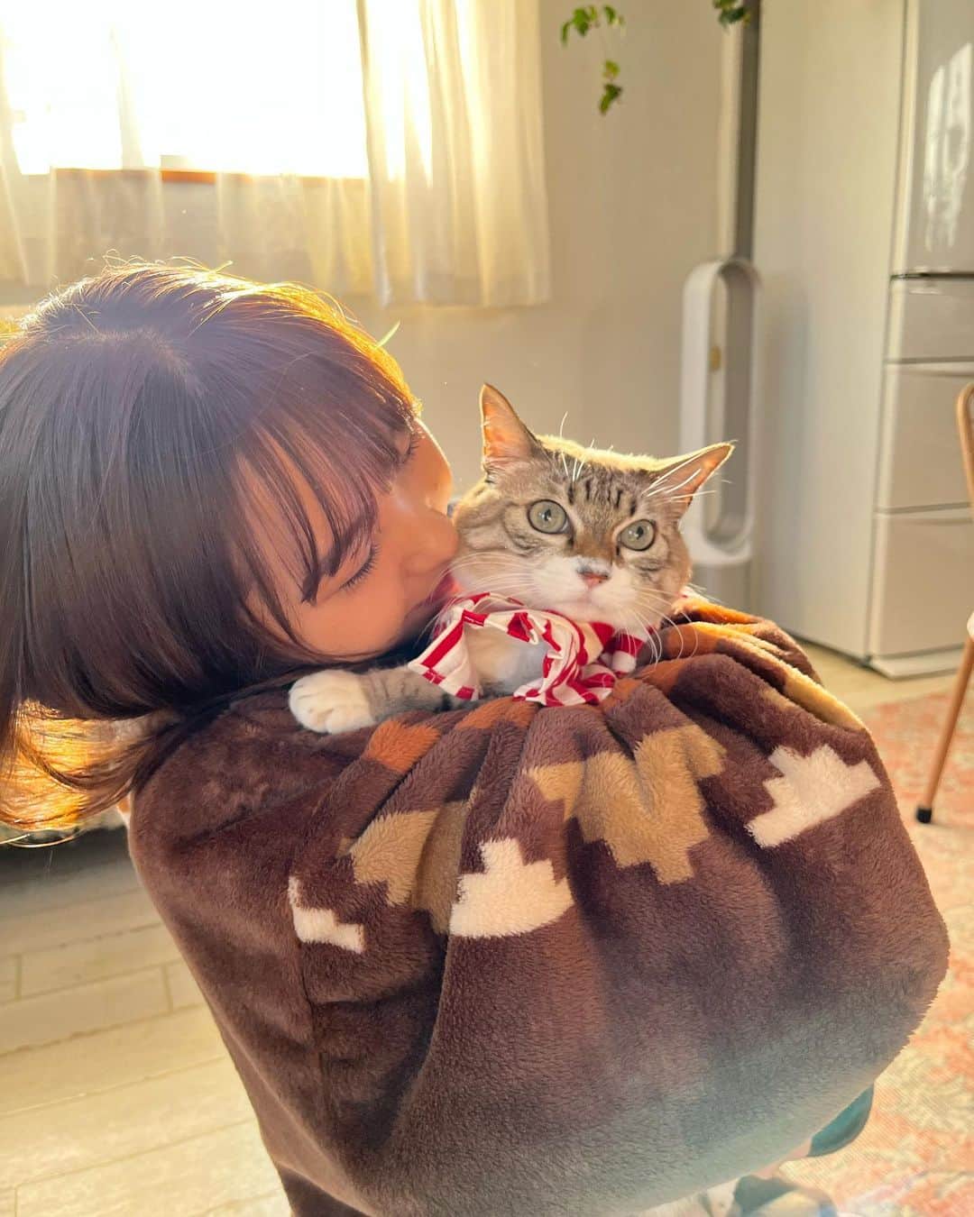 本郷柚巴のインスタグラム：「誰よりも猫大好き！！！🐱  #猫」